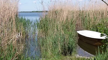 Schmollensee / Insel Usedom