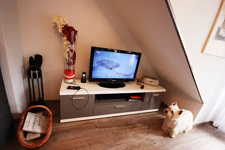 Fernseher mit Zuschauer