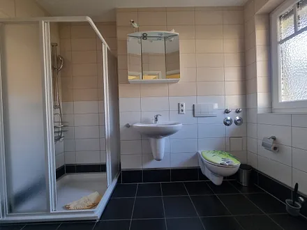 Tageslichtbad mit Dusche/WC