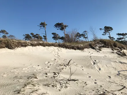 Der urwüchsige Weststrand