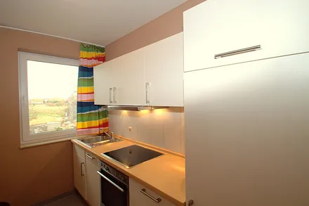 Küche mit Geschirrspüler und Backofen