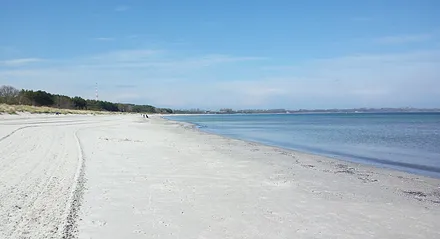 Ostseestrand im Frühjahr