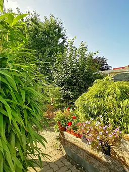 Eingangsbereich auf abgeschlossenen Hof