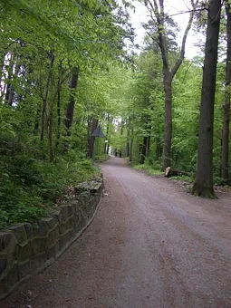 Waldweg für Spaziergänge oder Fahrradtouren direkt hinter dem Strandbereich