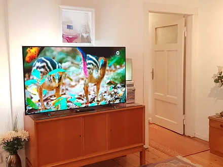 Großer 55'' OLED-Fernseher mit Ambilight LED-Hintergrundbeleuchtung