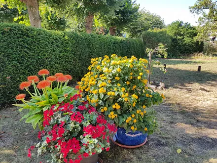 Garten Impression - 1300m² großes parkähnliches Grundstück
