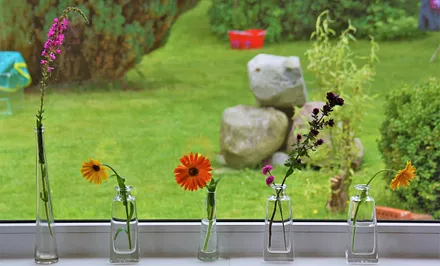 Die Blümchen finden Sie in bunten Mengen im Garten... :o)