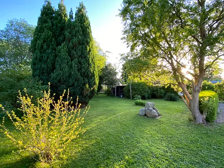 Haus Schwanenwinkel Garten