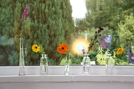 Wohnzimmer mit Nachmittagssonne und gemütlicher Sitzgruppe