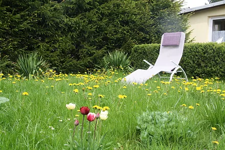 Ein großer weiter Wiesengarten (der hin und wieder auch gemäht wird... :o))