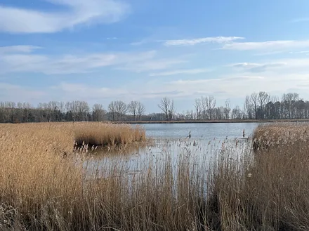 IDYLLE AM ACHTERWASSER
