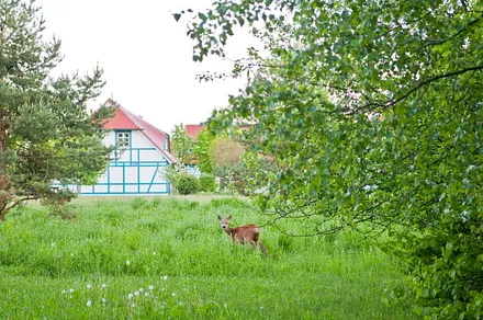 Am Abend kommen immer wieder neue Gäste vorbei