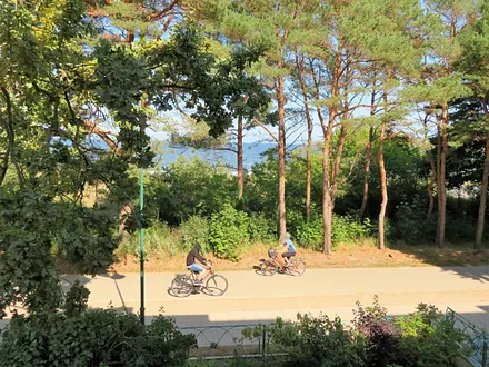 eingeschränkter Seeblick