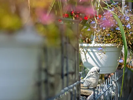 Detailaufnahme vom Grundstück.