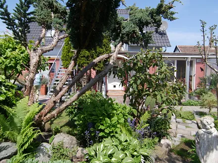 Ferienwohnung "Seepferdchen" in Zingst  Garten Impressionen
