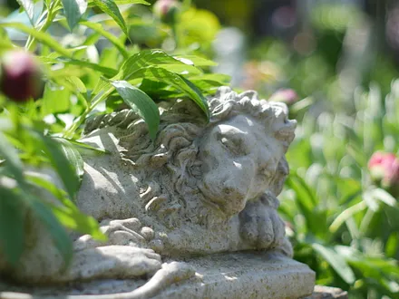 Ferienwohnung "Seepferdchen" in Zingst Garten Impressionen