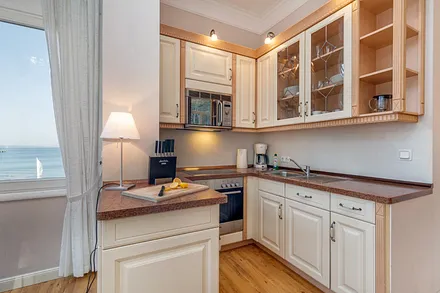 Die Küchenzeile mit Backofen, Geschirrspüler, Mikrowelle etc.