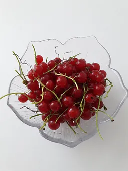 Ein Gruß aus unserem Garten