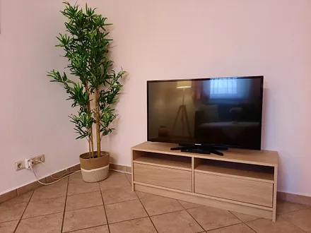 TV im Wohnzimmer