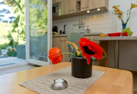 Wohn-, Ess- und Kochbereich mit Terrasse