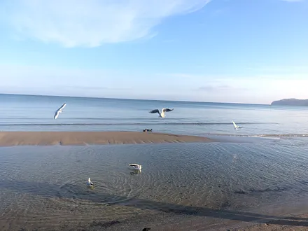 ... hinter Düne und Meer