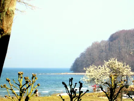 Blick vom Balkon in Richtung Strand