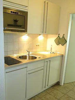 Küche: Kochfeld, Mikrowelle, Kühlschrank,Geschirrspüler 