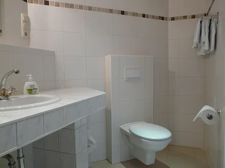 Waschtisch und WC, ausreichend Ablageflächen und Handtuchhalter sind vorhanden