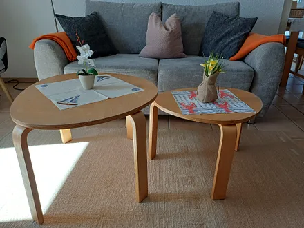 Wohnzimmer mit Schlafsofa