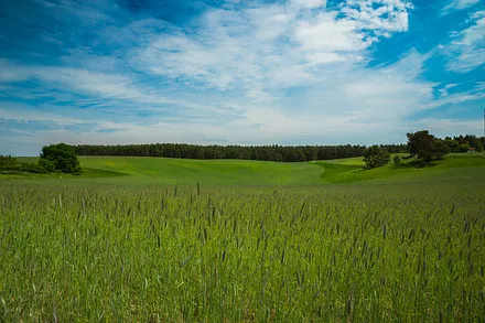 Zirchow und Umgebung