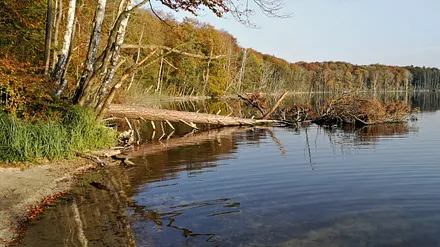 3 km bis zum Wolgastsee.