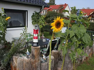 Bild: Ferienwohnung "Sonnenschein"