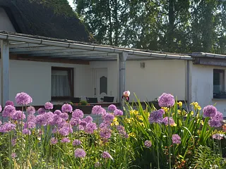 Bild: Ferienwohnung auf Rügen/Mönchgut