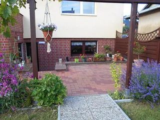 Bild: Grüner Winkel