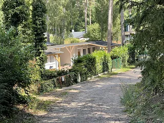 Bild: Bungalows am Pilzweg