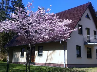 Bild: Traumwohnungen in entspannter Atmosphäre