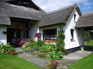 Bild: Ferien unterm Rohrdach " Morgensünn"