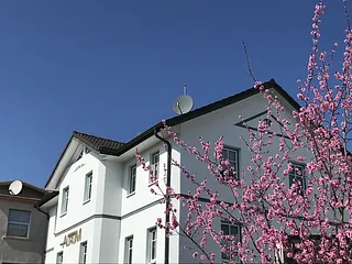 Bild: Apartmenthaus Aurum - 100 m vom Strand