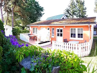 Bild: Top - Bungalows mit WLAN in Binz