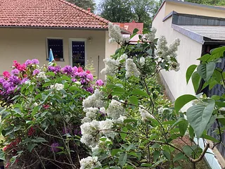 Bild: Ferienwohnung Lillymaus