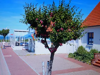 Bild: Haus Akonablick