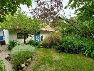 Bild: Ferienhaus Julchen im Garten