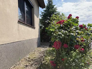 Bild: Ferienhaus Kuddel