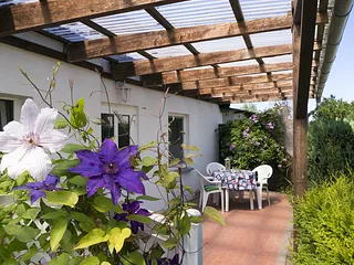 Bild: Sommer am Achterwasser