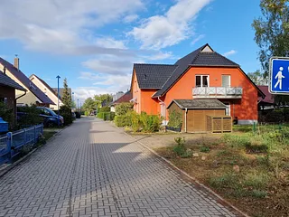 Bild: Oase Wald und Meer