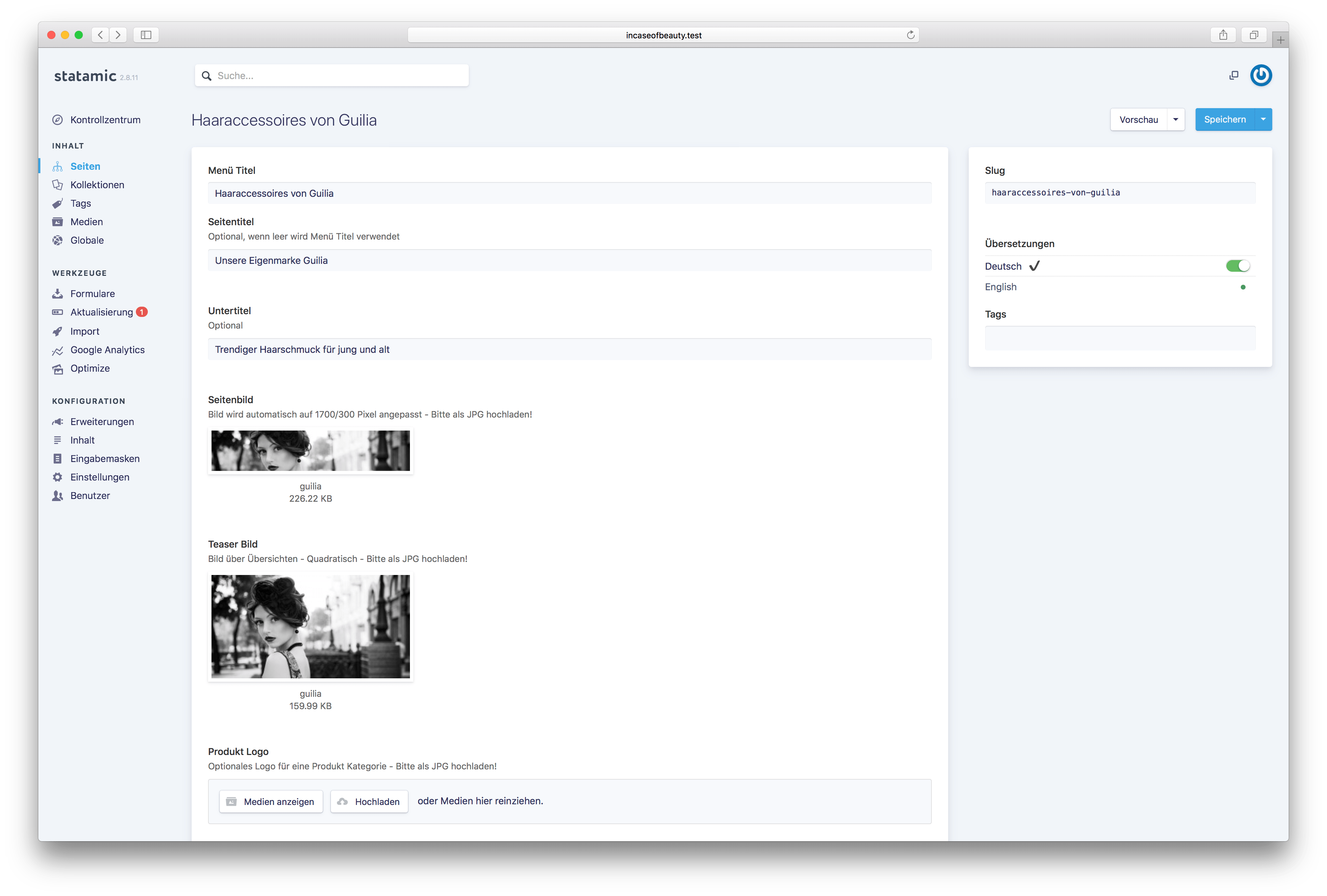 statamic control panel beispiel