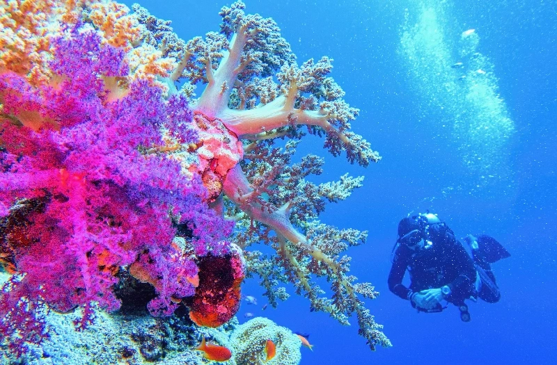 Viaggio Egitto Viaggio Egitto