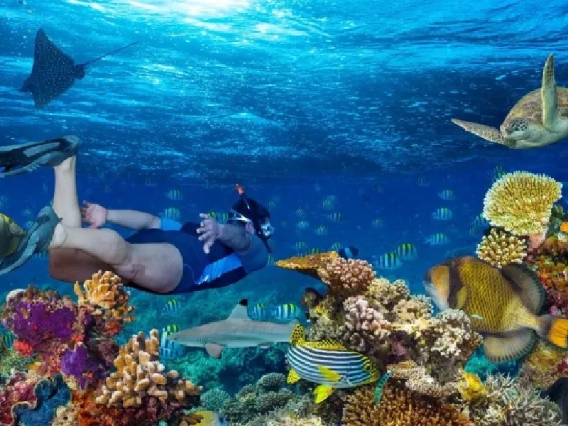 Cairo, Nile Cruise & Hurghada Holiday