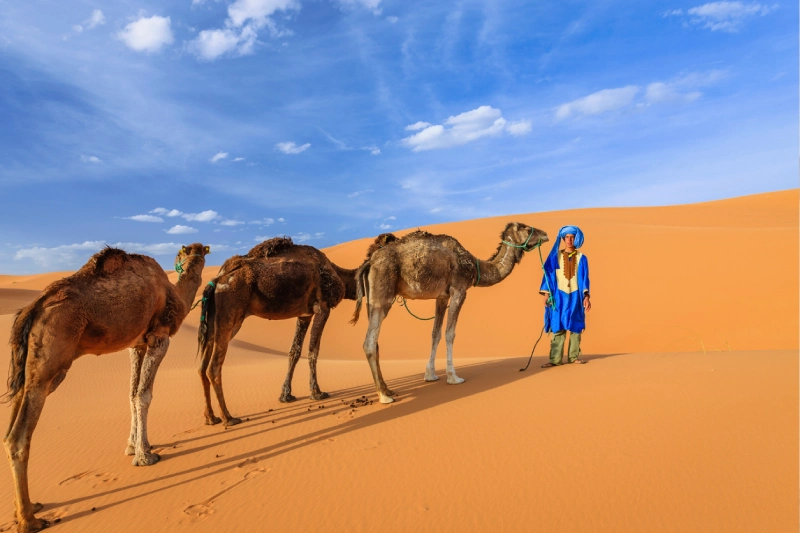 Clima in Marocco | Temperature in Marocco