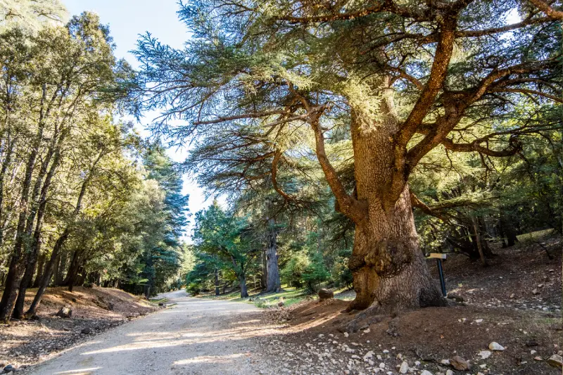Ifrane Marocco